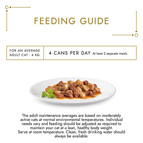 Gourmet Wet Cat Food Pouches in Gravy - Perle Chef's Collection 40 x 85g - Mix of Fish, Lamb, Duck, Turkey, Pet Food - Wet - Bulk Food, Cat Wet Food suitable for Adult and Senior Cats