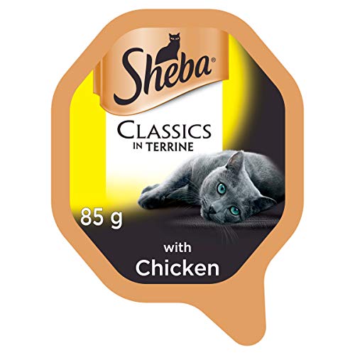 Sheba Fine Flakes Poultry Collection in Jelly 40 Pouches, Adult Wet Cat Food