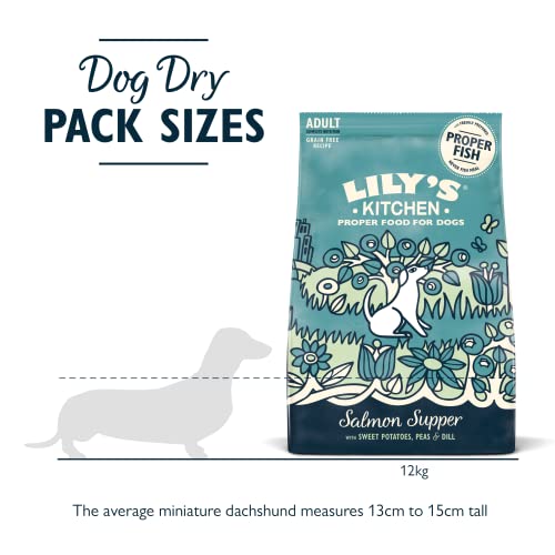 Lily's Kitchen Natural Adult Dry Dog Food Chicken & Duck Grain-Free Recipe