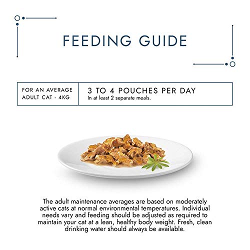 Gourmet Wet Cat Food Pouches in Gravy - Perle Chef's Collection 40 x 85g - Mix of Fish, Lamb, Duck, Turkey, Pet Food - Wet - Bulk Food, Cat Wet Food suitable for Adult and Senior Cats