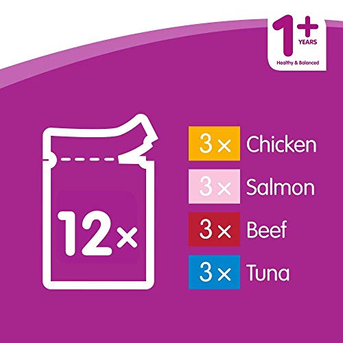 Whiskas 1+ Adult Mixed Selection in Jelly 84 Pouches, Adult Wet Cat Food, Megapack