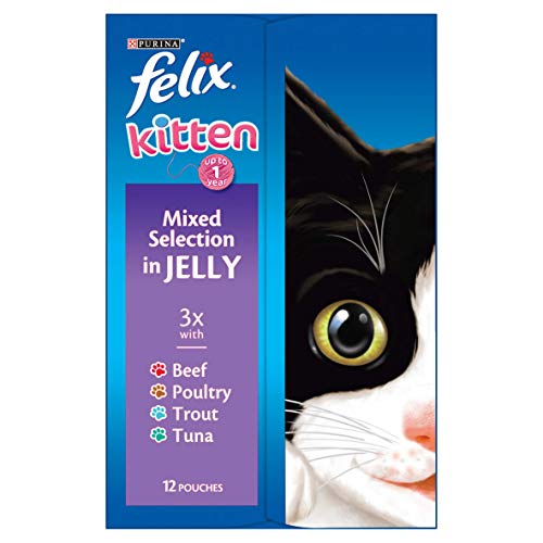 Felix Original 7+ Variety in Jelly Cat Food