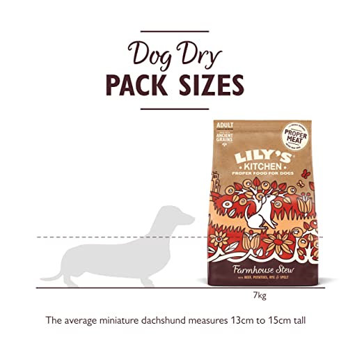 Lily's Kitchen Natural Adult Dry Dog Food Chicken & Duck Grain-Free Recipe