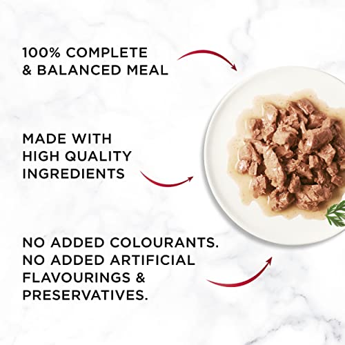 Gourmet Wet Cat Food Pouches in Gravy - Perle Chef's Collection 40 x 85g - Mix of Fish, Lamb, Duck, Turkey, Pet Food - Wet - Bulk Food, Cat Wet Food suitable for Adult and Senior Cats