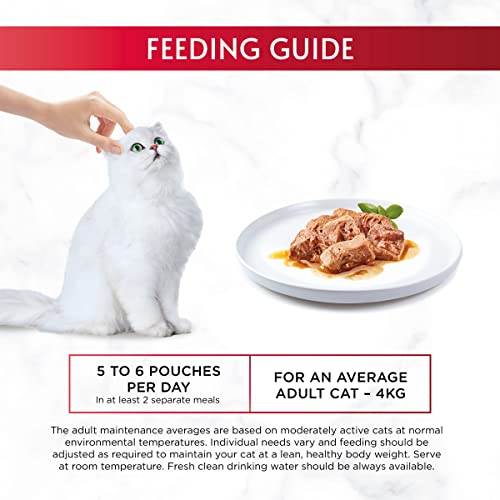 Gourmet Wet Cat Food Pouches in Gravy - Perle Chef's Collection 40 x 85g - Mix of Fish, Lamb, Duck, Turkey, Pet Food - Wet - Bulk Food, Cat Wet Food suitable for Adult and Senior Cats