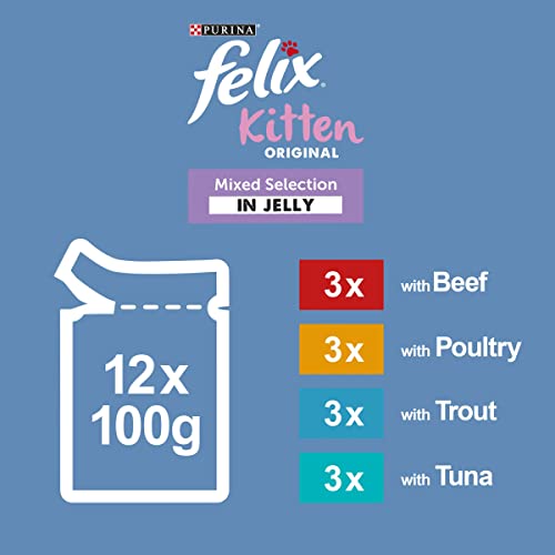 Felix Original 7+ Variety in Jelly Cat Food
