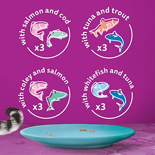 Whiskas 1+ Adult Mixed Selection in Jelly 84 Pouches, Adult Wet Cat Food, Megapack