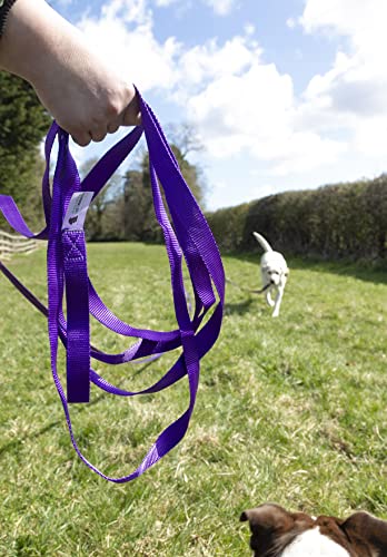 Maximum Pet Products 65ft 20M Dog & Horse Training Lunge Lead. 25mm - 1" Wide. Very Strong