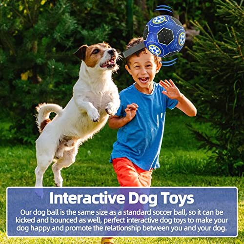 HETOO Dog Toys, Interactive Dog Football Toys with Grab Tabs, Durable Dog Balls for Small Medium Breed Dog Water Toy Indoor & Outdoor, Gift for Dogs