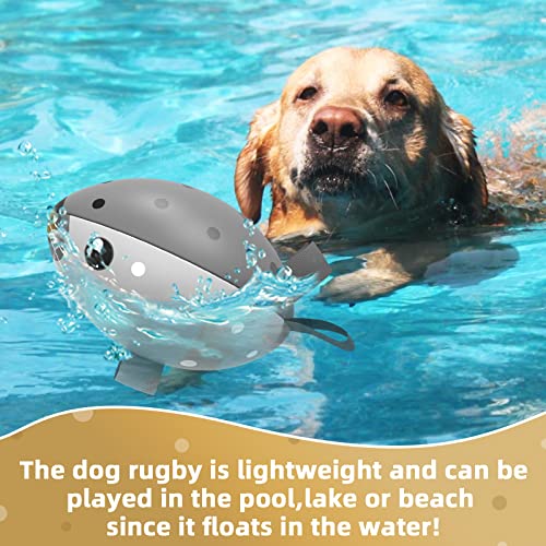 HETOO Dog Toys, Interactive Dog Football Toys with Grab Tabs, Durable Dog Balls for Small Medium Breed Dog Water Toy Indoor & Outdoor, Gift for Dogs