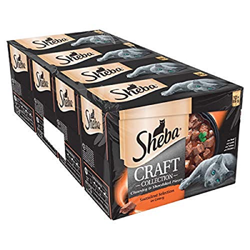 Sheba Fine Flakes Poultry Collection in Jelly 40 Pouches, Adult Wet Cat Food
