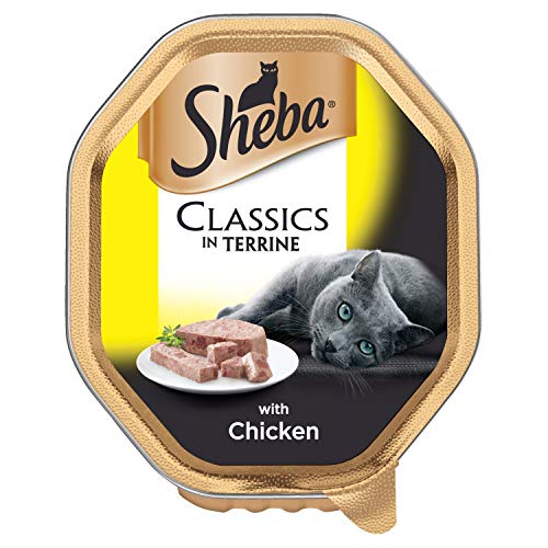 Sheba Fine Flakes Poultry Collection in Jelly 40 Pouches, Adult Wet Cat Food