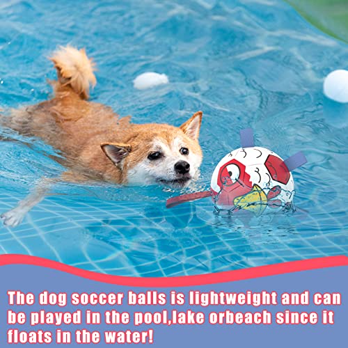 HETOO Dog Toys, Interactive Dog Football Toys with Grab Tabs, Durable Dog Balls for Small Medium Breed Dog Water Toy Indoor & Outdoor, Gift for Dogs