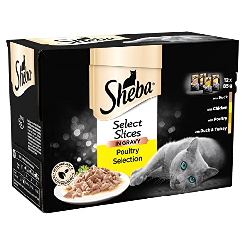 Sheba Fine Flakes Poultry Collection in Jelly 40 Pouches, Adult Wet Cat Food