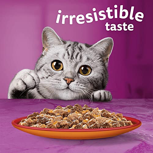 Whiskas 1+ Adult Mixed Selection in Jelly 84 Pouches, Adult Wet Cat Food, Megapack