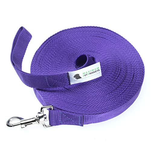 Maximum Pet Products 65ft 20M Dog & Horse Training Lunge Lead. 25mm - 1" Wide. Very Strong