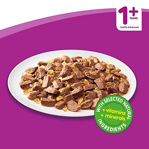 Whiskas 1+ Adult Mixed Selection in Jelly 84 Pouches, Adult Wet Cat Food, Megapack