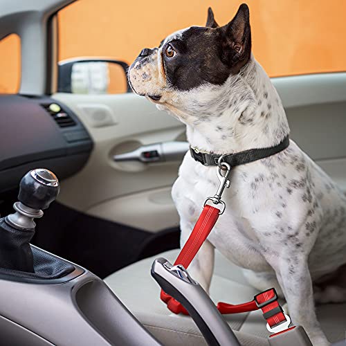 Seat Belt for dogs with Anti shock Bungee Buffer One of Important Car Travel Accessories for Dogs Adjustible, Elastic