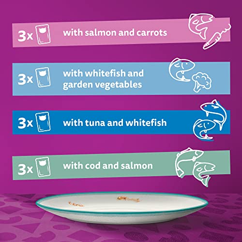 Whiskas 1+ Adult Mixed Selection in Jelly 84 Pouches, Adult Wet Cat Food, Megapack