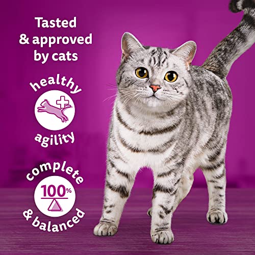 Whiskas 1+ Adult Mixed Selection in Jelly 84 Pouches, Adult Wet Cat Food, Megapack
