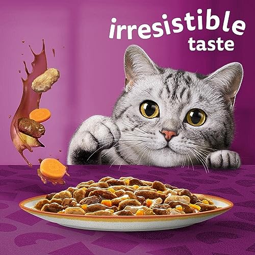 Whiskas 1+ Adult Mixed Selection in Jelly 84 Pouches, Adult Wet Cat Food, Megapack