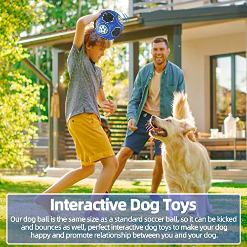 HETOO Dog Toys, Interactive Dog Football Toys with Grab Tabs, Durable Dog Balls for Small Medium Breed Dog Water Toy Indoor & Outdoor, Gift for Dogs