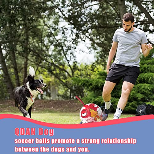 HETOO Dog Toys, Interactive Dog Football Toys with Grab Tabs, Durable Dog Balls for Small Medium Breed Dog Water Toy Indoor & Outdoor, Gift for Dogs