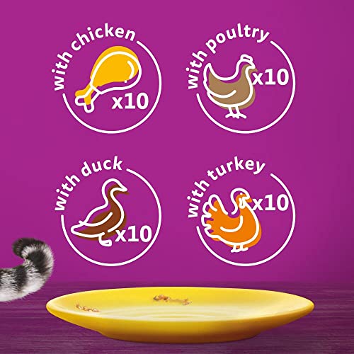 Whiskas 1+ Adult Mixed Selection in Jelly 84 Pouches, Adult Wet Cat Food, Megapack