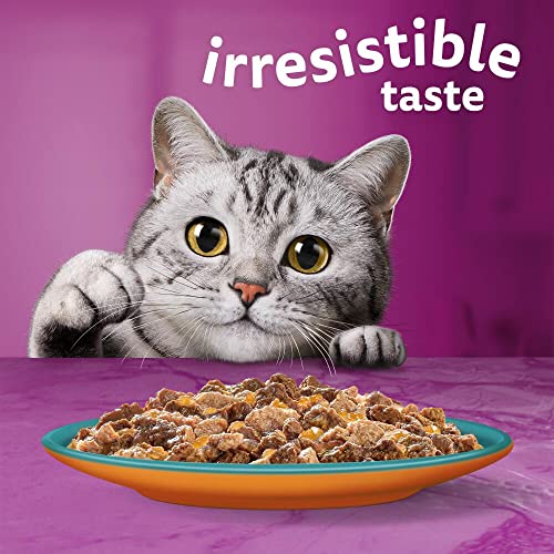 Whiskas 1+ Adult Mixed Selection in Jelly 84 Pouches, Adult Wet Cat Food, Megapack