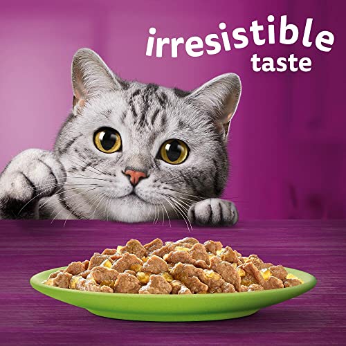 Whiskas 1+ Adult Mixed Selection in Jelly 84 Pouches, Adult Wet Cat Food, Megapack