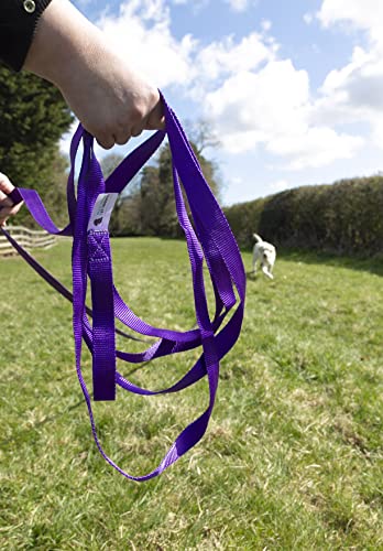 Maximum Pet Products 65ft 20M Dog & Horse Training Lunge Lead. 25mm - 1" Wide. Very Strong