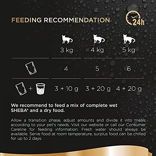 Sheba Fine Flakes Poultry Collection in Jelly 40 Pouches, Adult Wet Cat Food