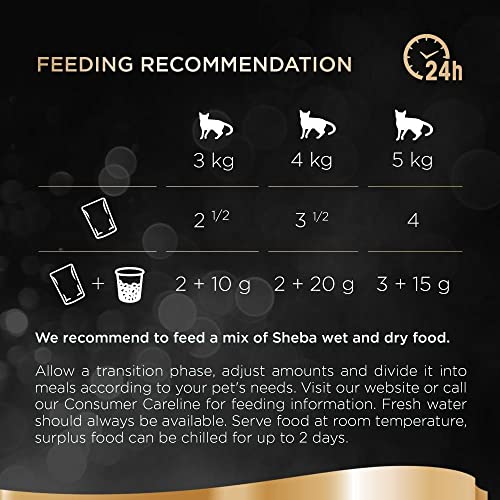 Sheba Fine Flakes Poultry Collection in Jelly 40 Pouches, Adult Wet Cat Food