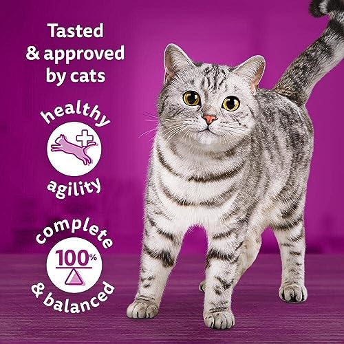 Whiskas 1+ Adult Mixed Selection in Jelly 84 Pouches, Adult Wet Cat Food, Megapack