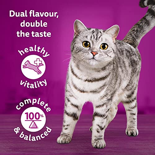 Whiskas 1+ Adult Mixed Selection in Jelly 84 Pouches, Adult Wet Cat Food, Megapack