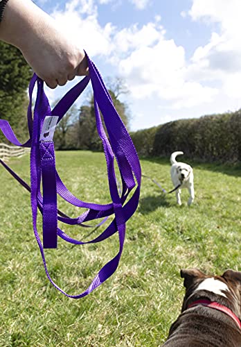 Maximum Pet Products 65ft 20M Dog & Horse Training Lunge Lead. 25mm - 1" Wide. Very Strong