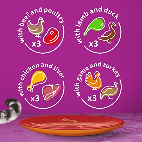 Whiskas 1+ Adult Mixed Selection in Jelly 84 Pouches, Adult Wet Cat Food, Megapack