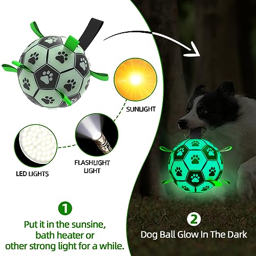HETOO Dog Toys, Interactive Dog Football Toys with Grab Tabs, Durable Dog Balls for Small Medium Breed Dog Water Toy Indoor & Outdoor, Gift for Dogs