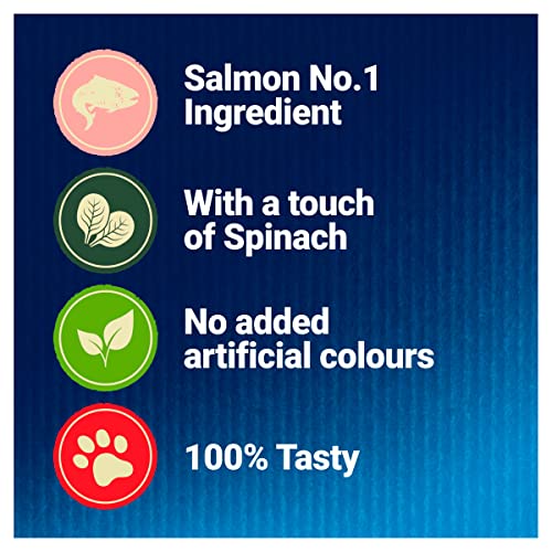Felix Original 7+ Variety in Jelly Cat Food