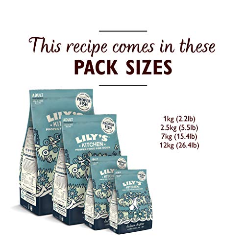 Lily's Kitchen Natural Adult Dry Dog Food Chicken & Duck Grain-Free Recipe
