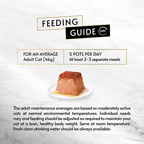 Gourmet Wet Cat Food Pouches in Gravy - Perle Chef's Collection 40 x 85g - Mix of Fish, Lamb, Duck, Turkey, Pet Food - Wet - Bulk Food, Cat Wet Food suitable for Adult and Senior Cats