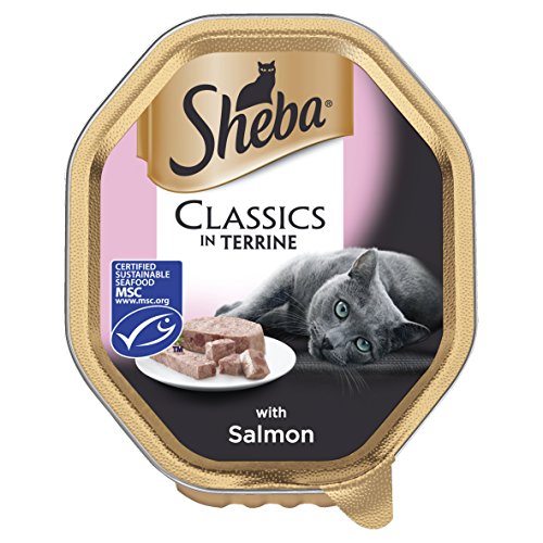 Sheba Fine Flakes Poultry Collection in Jelly 40 Pouches, Adult Wet Cat Food
