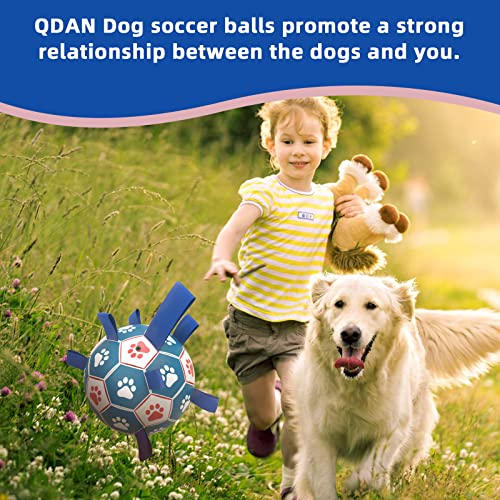 HETOO Dog Toys, Interactive Dog Football Toys with Grab Tabs, Durable Dog Balls for Small Medium Breed Dog Water Toy Indoor & Outdoor, Gift for Dogs