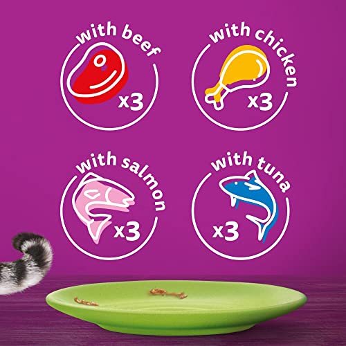 Whiskas 1+ Adult Mixed Selection in Jelly 84 Pouches, Adult Wet Cat Food, Megapack