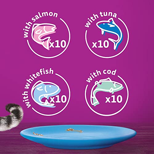 Whiskas 1+ Adult Mixed Selection in Jelly 84 Pouches, Adult Wet Cat Food, Megapack