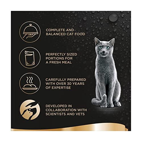 Sheba Fine Flakes Poultry Collection in Jelly 40 Pouches, Adult Wet Cat Food