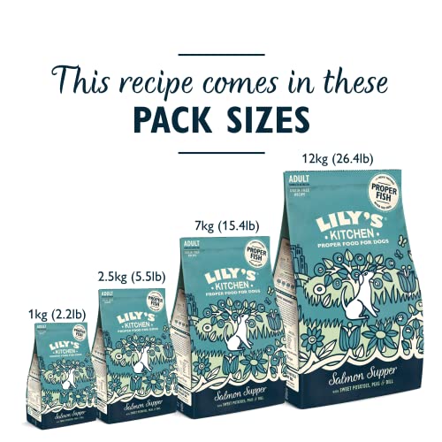 Lily's Kitchen Natural Adult Dry Dog Food Chicken & Duck Grain-Free Recipe
