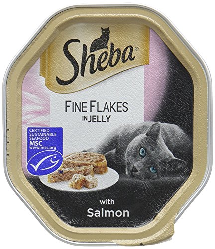 Sheba Fine Flakes Poultry Collection in Jelly 40 Pouches, Adult Wet Cat Food