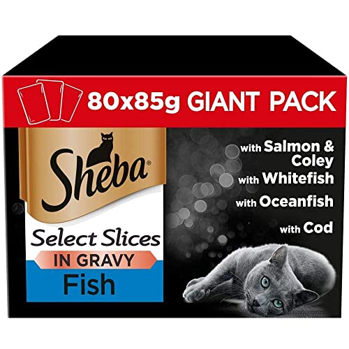 Sheba Fine Flakes Poultry Collection in Jelly 40 Pouches, Adult Wet Cat Food