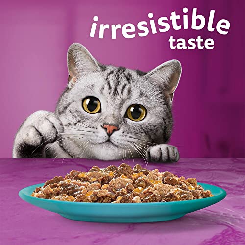 Whiskas 1+ Adult Mixed Selection in Jelly 84 Pouches, Adult Wet Cat Food, Megapack